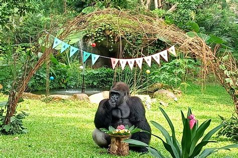 Taman Margasatwa Ragunan Tutup Hingga Waktu Yang Belum Ditentukan