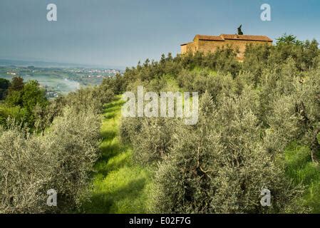 Italy, Vinci, Anchiano, Birth House of Leonardo da Vinci Stock Photo ...