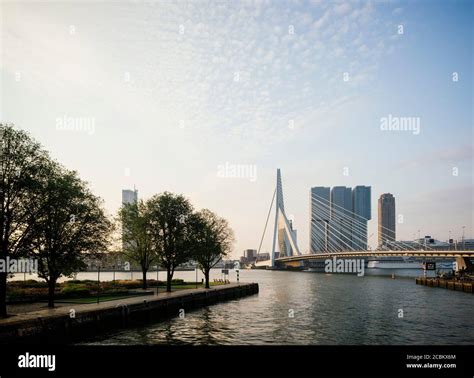 Erasmus Bridge, Rotterdam, Netherlands Stock Photo - Alamy