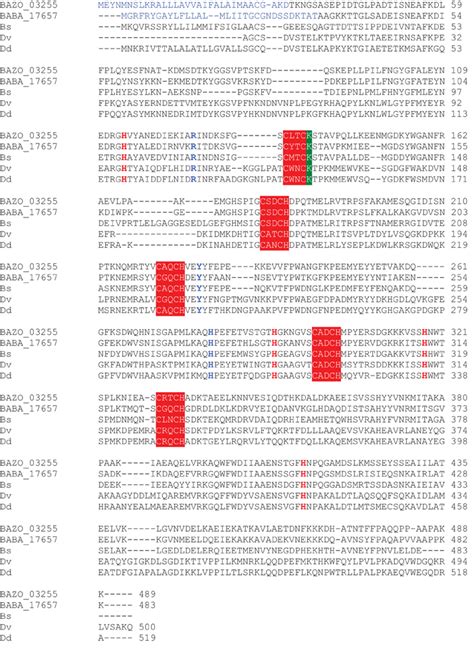 Figure A Multiple Sequence Alignment Of Nrfa From B Azotoformans Lmg