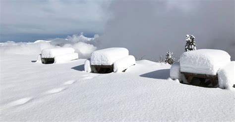 Météo vague de froid et chutes de neige en vue