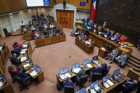 Ximena Marcazzolo Awad Opina Como Experta Reglas Del Uso De La Fuerza