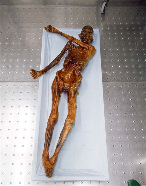 Ötzi The 5300 Year Old Iceman Rpics