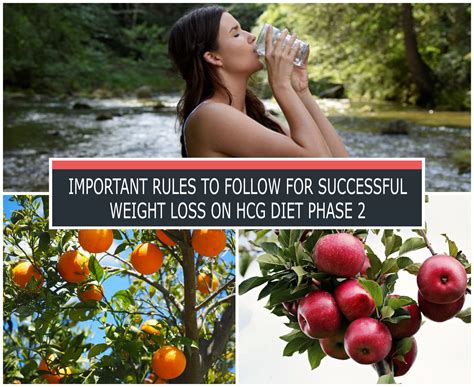 Important Rules To Follow For Successful Weight Loss On Hcg Diet Phase 2 ⋆