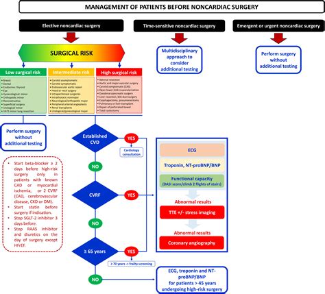 Comments On The Esc 2022 Guidelines On Cardiovascular Assessment And