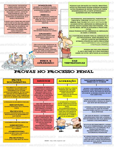 Provas No Processo Penal Direito Penal II