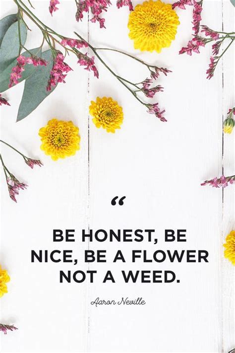 Flower Quotes Inspirational Floral Quotes Inspirational Thoughts Instagram Frame Instagram