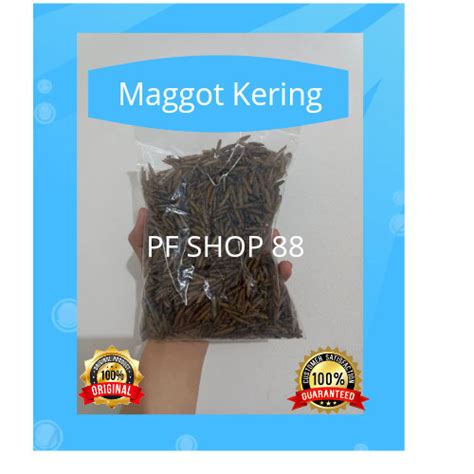 Jual Maggot Ulat Hongkong Kering Grade A Pakan Ikan Predator Channa