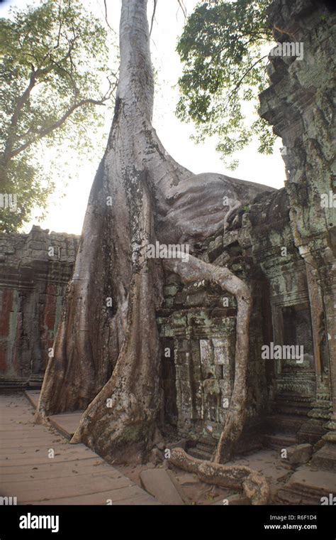 Angkor Wat Siem Reap Stock Photo - Alamy