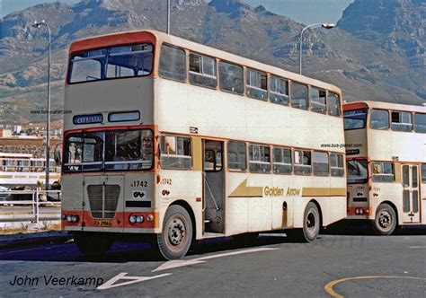 Buses In South Africa Golden Arrow