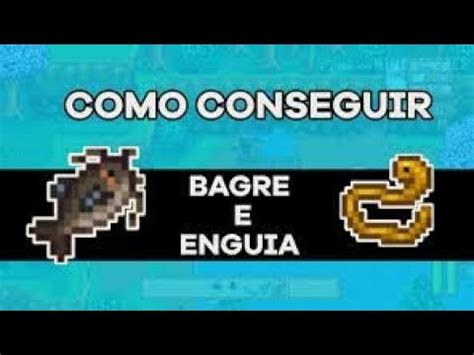 Stardew Valley Como Pescar Bagre E Enguia YouTube