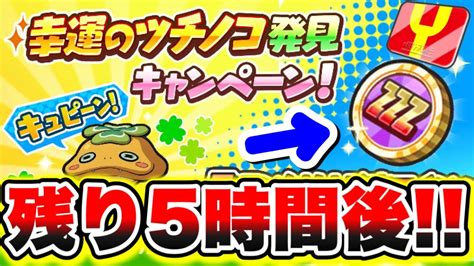 【残り5時間後】ガチで貰えたzzzエラベールコインの無料配布がやばすぎた ぷにぷにコイン ぷにぷにツチノコキャンペーン