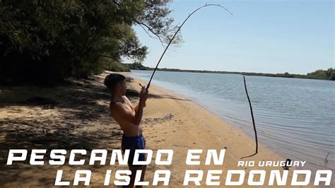 UNA PESCA 10 PUNTOS DE TODO UN POCO EN RIO URUGUAY YouTube