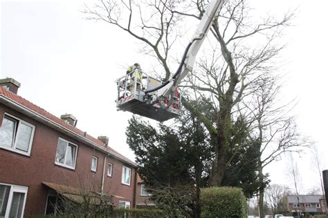 Brandweer Haalt Gevaarlijke Takken Uit Boom Laren