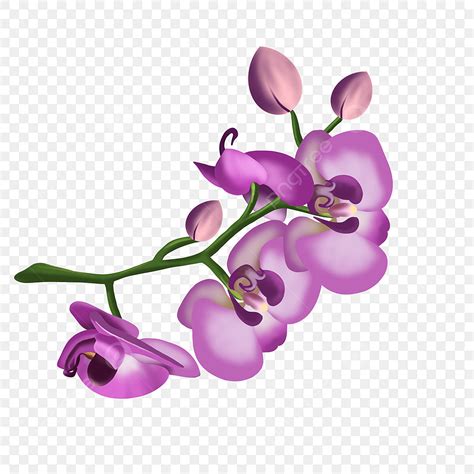 Purple Orchid Png Transparent Purple Orchid Clip Art Orchid