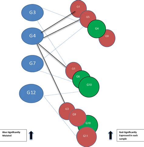 Bipartite Graph Constructed From The Node Network In Fig Blue