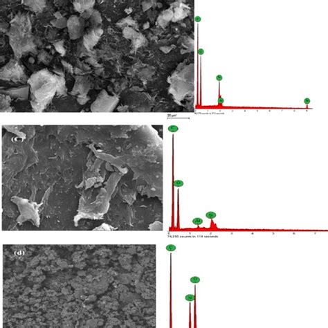 Xps Spectra Of Pma Nmmt Hydrogel Nanocomposite And Amx Df Loaded