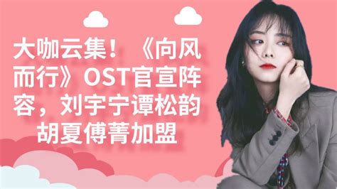 大咖云集！《向风而行》ost官宣阵容，刘宇宁谭松韵胡夏傅菁加盟 腾讯视频