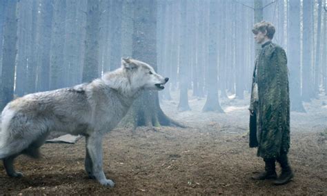 Facts About Dire Wolves - Facts You Might Need To Know About Dire Wolf