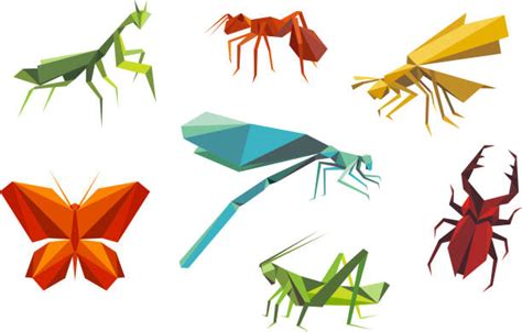 650 Grasshoppers Clip Art Ilustraciones De Stock Gráficos Vectoriales Libres De Derechos Y