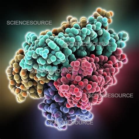 Potassium channel molecule | Stock Image - Science Source Images