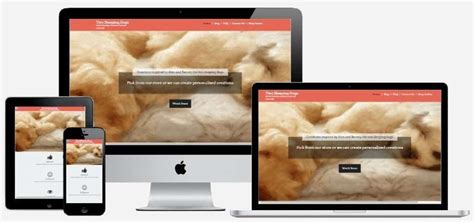 Two Sleeping Dogs - Winstar Website Design and Software Developers