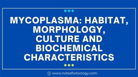 Mycoplasma Habitat Morphology Culture And Biochemical