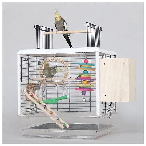 African Love Birds Cage Setup