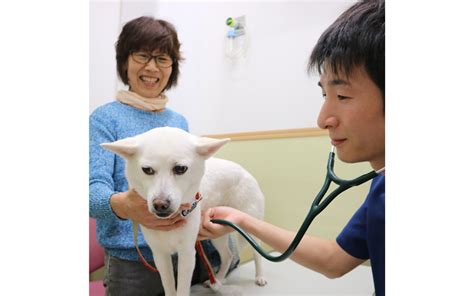 平成動物病院｜犬・猫の健康診断を推進｜teamhope 動物病院リレー紹介