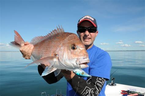 Rex Hunt Heads Fishing Speaker Line Up At Melbourne Boat Show Fishing