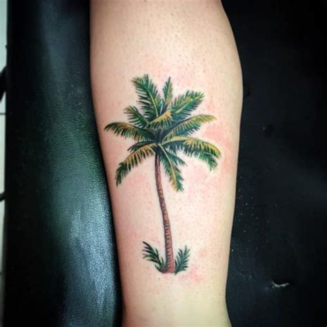 palm tree tattoo meaning - Feel Well Memoir Art Gallery