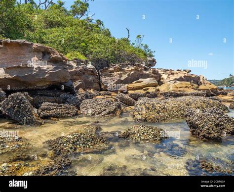 Amazing Landscape With Sandstone Rocks And Harbour Shore With Sea