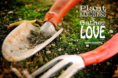 Plant Kindness And Gather Love