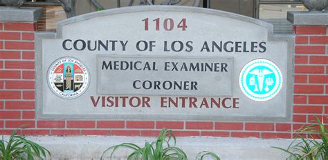 LA county coroner search reveals unexpected data on city fatalities 14