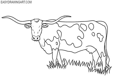 Realistic Longhorn Drawing Drawings Cow Illustration Longhorn Tattoo