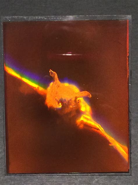 A Flight 3D True Hologram - Etsy