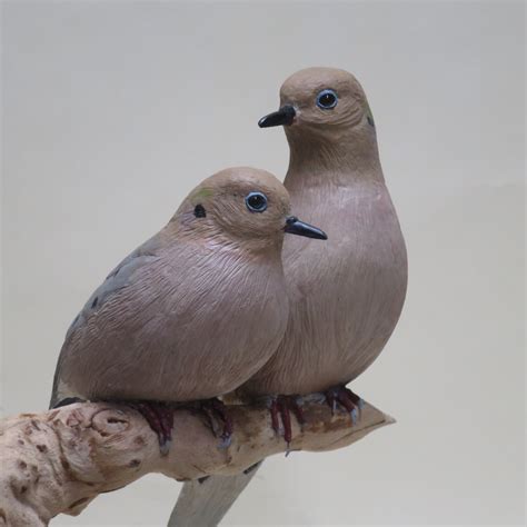 Mourning Doves - Etsy