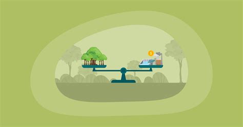 Carbon Offsets vs Carbon Credits: What’s the Difference? | Impactful Ninja