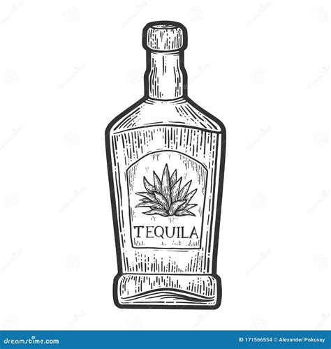 Dibujo Vectorial De Botella Tequila Ilustración del Vector