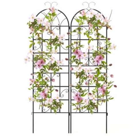 Hivvago X Inch Metal Garden Trellis For Climbing Plants Set Of