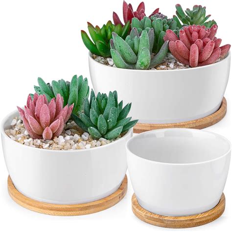 HOMENOTE 6 5 3 8 Inch White Succulents Pots With Drainage Bamboo Trays