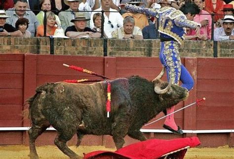 Matador And The Bull Fight - Gallery | eBaum's World