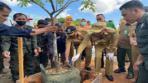 Dukung Folu Net Sink 2030 Dan Pulihkan Hutan Sutarmidji Ajak