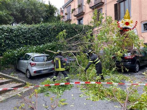 Maltempo Basilicata Vento Forte Nel Potentino Disagi E Alberi