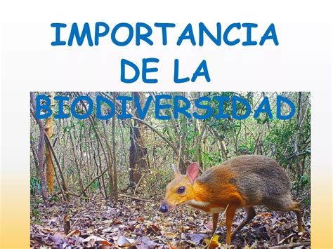 Tema 10 Biodiversidad Ppt