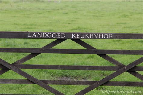 Visiting Keukenhof Castle - Tulips in Holland