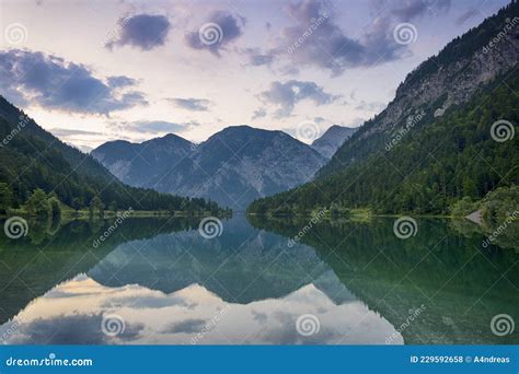 Beautiful Austrian Mountain Lake Plansee With Reflection Of The