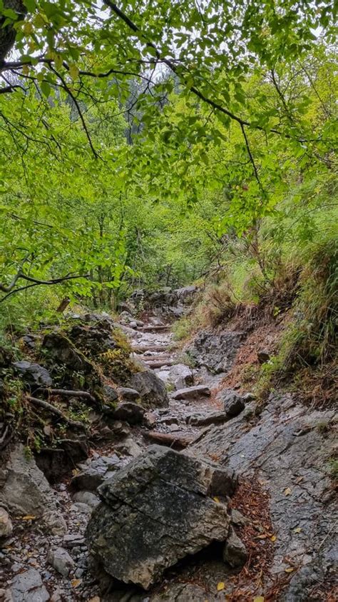 Mount Olympus Mystical Hiking Trail Through The Forest Leading To