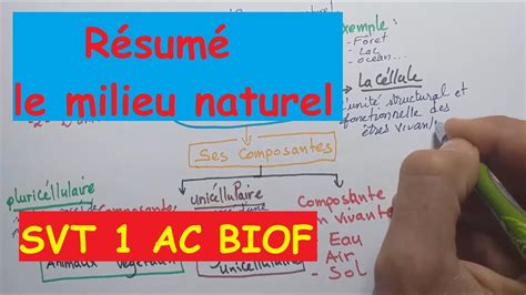 SVT 1AC Résumé milieu naturel en 3 minutes YouTube