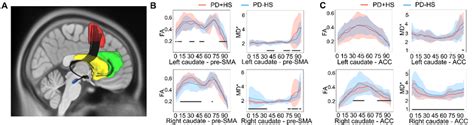 Tracts Representation And Diffusion Tensor Imaging DTI Scalar